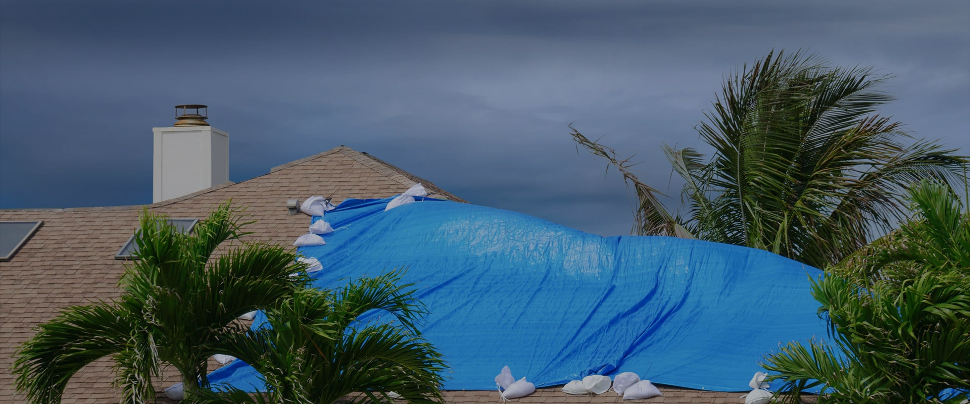 Jinhua Donglin Tarpaulin Daily Products Co., Ltd.