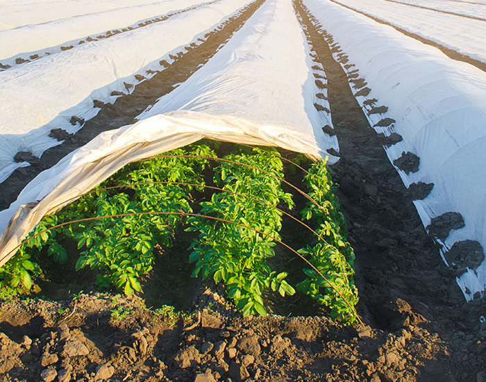 Расширение возможностей современного сельского хозяйства, защита каждого урожая